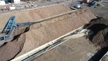 Muş ve Van'da 76 Bin Ton Şeker Hedefi