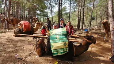 Sarıkeçili Yörüklerin Kış Göçü Devam Ediyor