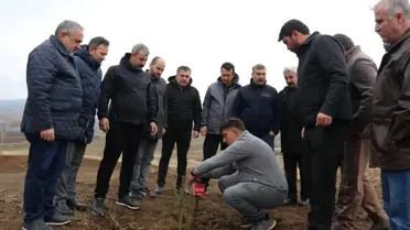 Sivas'ta şehitlerin anısına fidan dikildi