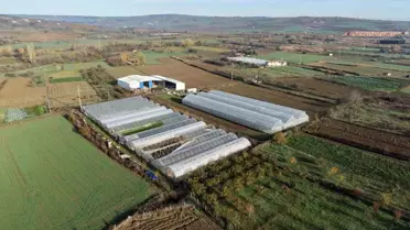 Tekirdağ'da Sera Yenileme Projesi