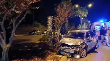 Manavgat'ta Otomobil Palmiyeye Çarptı!