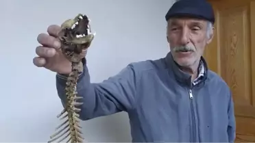 Yusufeli'nde Yırtıcı Dişlere Sahip İskelet Bulundu