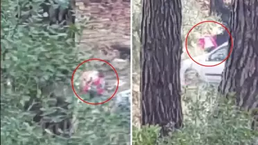 Görüntü İzmir'den! Sesleri duyup önce kayda aldı, sonra polisi aradı