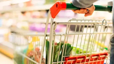 Kasımda fiyatı en çok artan evcil hayvan ürünleri oldu