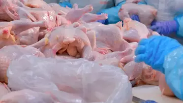 Türkiye'nin dev tavuk markası konkordato ilan etti