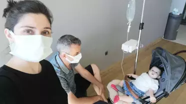 Defne'nin Orman Umudu