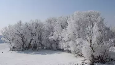 Taşlıçay'da Kırağı Manzaraları