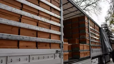 Bilecik'te Arıcılara Kovan Dağıtımı