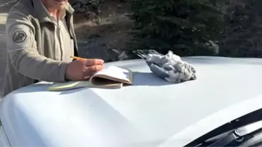 Burdur'da Kaçak Avcılığa Ceza