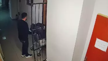 Büyükçekmece'de Altın ve Gümüş Hırsızlığı