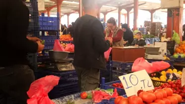 Çanakkale Domatesi Fiyatı 10 TL'ye Düştü