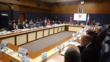 Oktay'dan Suriye ve İsrail Açıklamaları