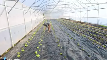 Edirne'de Seracılıkta Yeni Adım