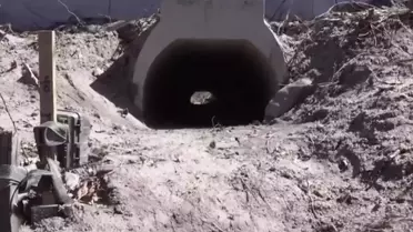 Kurbağaların rahatça çiftleşmesi için yapılan aşk tünelinde inşaat sona erdi