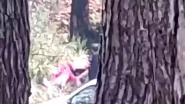 Buca'da Kadına Şiddet Olayı