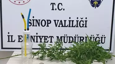 Sinop'ta Uyuşturucu Operasyonu: 6 Gözaltı