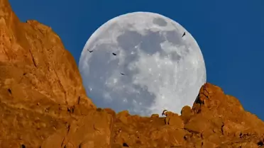 Van'da Yaban Keçileri Dolunayla Görüntülendi