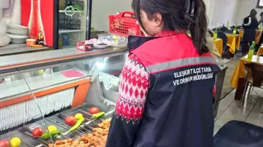 Ağrı'da Gıda Denetimleri: 750 İşletme Kontrol Edildi