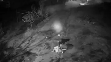 74 Yaşındaki Adam Gasp Edildi