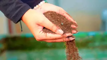 Didim Belediyesi pazar atıklarını komposta dönüştürüyor