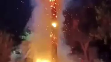 Kızıltepe'de Palmiye Ağacı Ateşe Verildi