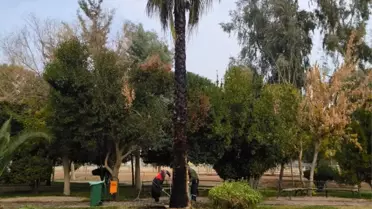 Kızıltepe'de Parklar Tahrip Edildi