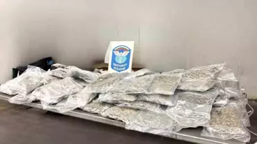 Kapıkule'de 22 kilo esrar ele geçirildi