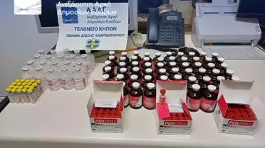 Sınırda Aşı Kaçakçılığına 30 Ay Hapis