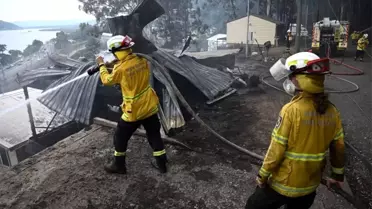 Yeni Güney Galler'de Orman Yangınları
