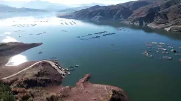 Denizi olmayan Tokat'ın somonları dünya sofralarına ulaşıyor