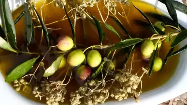 Ayvalık'ta Kekikli Zeytinyağı Üretimi Artıyor