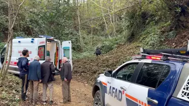 Rize'de Ağaç Kesimi Şoku