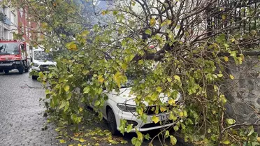 Beyoğlu'nda Ağaç Otomobilin Üzerine Devrildi