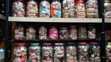 Kocaeli'de 5 Bin Bebek Kafası Sergisi