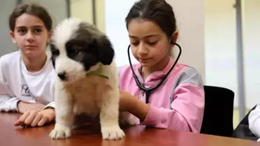 Minik veterinerler görev başında