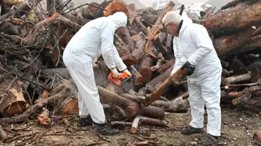 Budanan ağaç dalları ihtiyaç sahiplerini ısıtıyor