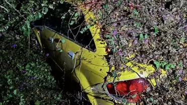 Mezitli'de Taksinin Üzerine Ağaç Devrildi