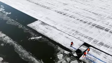 Harbin'de Buz Toplama Çalışmaları