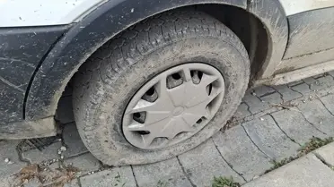 Lastik Kesimi Şüphelileri Tutuklandı