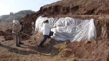 Çorakyerler Fosil Bölgesi'nde 200 Numara Fosil Bulundu