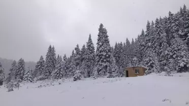 Türkeli'de Kar Yağışı Etkili Oldu