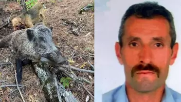 Avlamak istediği domuz talihsiz adamın sonu oldu