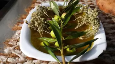 Zeytinyağında Hasat Farklılığı