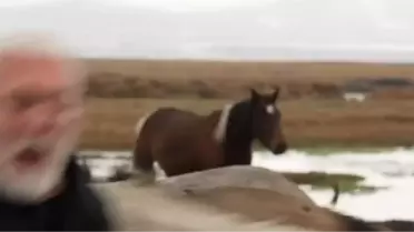 Onur Akın'a Yılkı Atı Çarptı