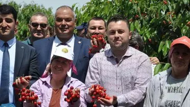 Çeribaşı Kirazı Coğrafi İşaret Aldı
