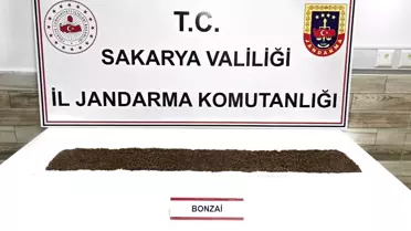 Karasu'da Uyuşturucu Operasyonu: 1 Tutuklama