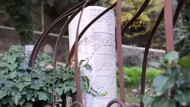 Necip Paşa'nın Kabrine Ulaşıldı