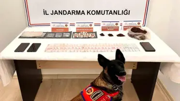 Tosya'da Anne ve Oğul Uyuşturucu Ticaretinden 18 Yıl Hapis Cezası Aldı