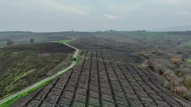 Manyas'ta Badem Fidanı Desteği