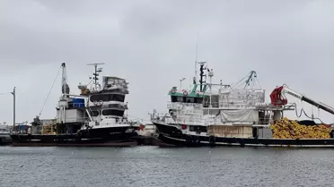 Poyraz Tekirdağ'da Ulaşımı Aksatıyor